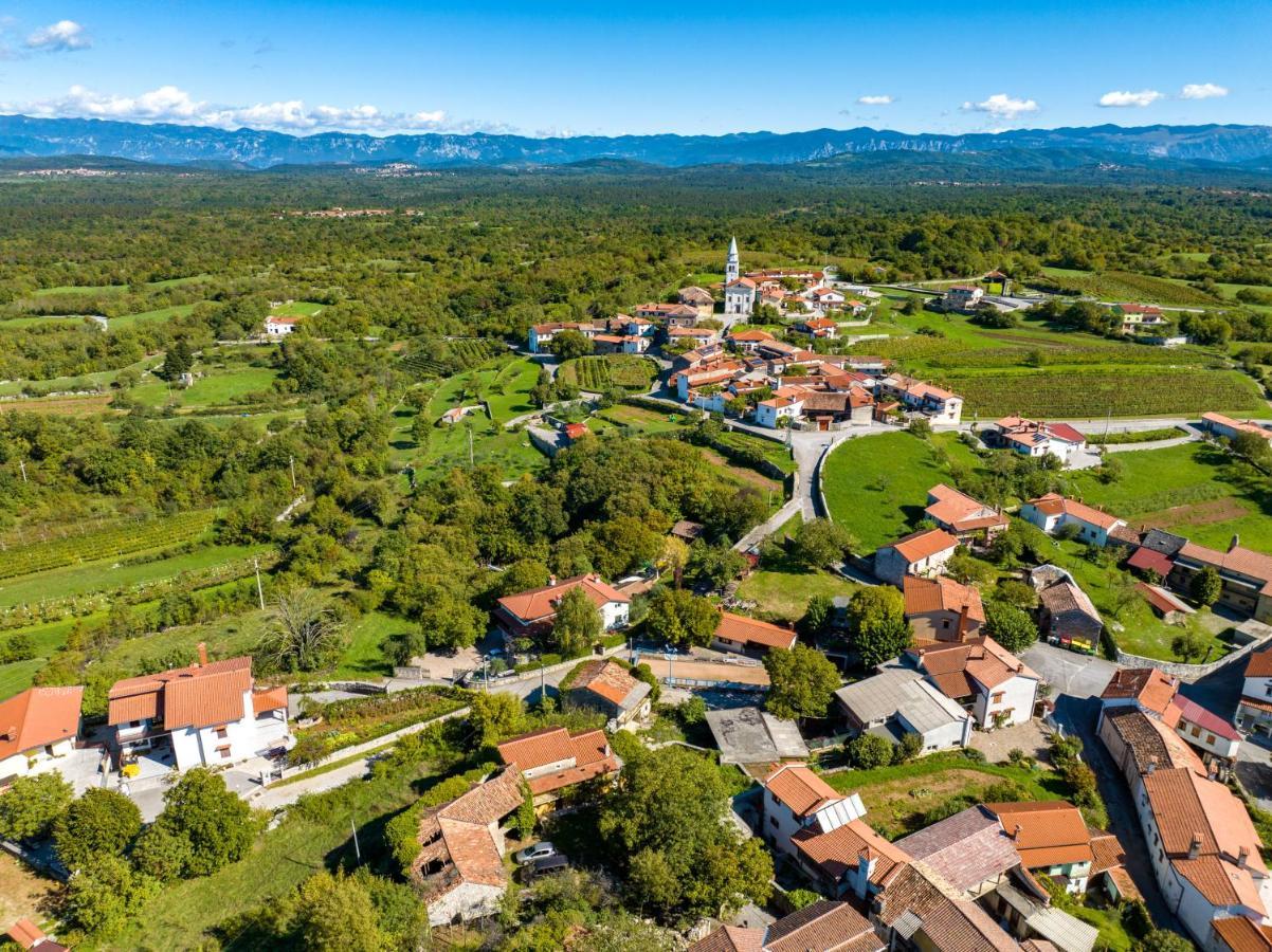 DutovljeKarst House Zan Pliskovica With Private Pool别墅 外观 照片