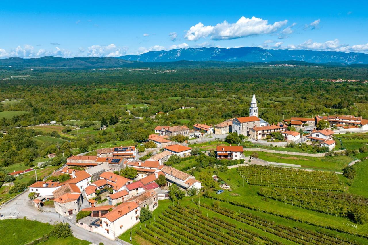 DutovljeKarst House Zan Pliskovica With Private Pool别墅 外观 照片
